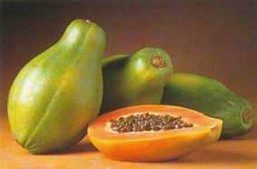 Carica papaya Papaya semillas