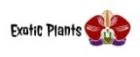 Exotic Plants - Samen exotischer Pflanzen
