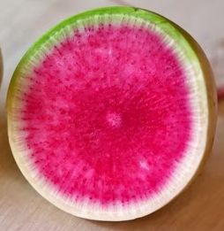 Watermelon Radish Red Meat  semi