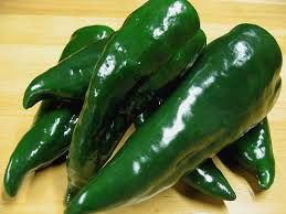 Chili Poblano Poblano hot pepper seeds