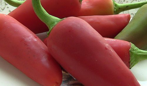 Fresno Chili hot pepper seeds