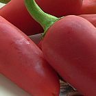 Fresno Chili piment graines