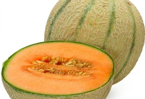 Melon Cantaloupe Hearts of Gold Melon Cantaloupe Hearts of Gold seeds