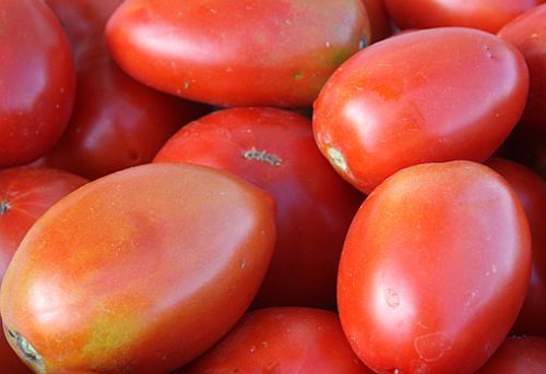 Tomate Amish Paste tomato seeds