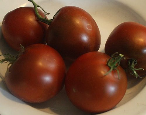 Tomate Black Prince black tomato seeds