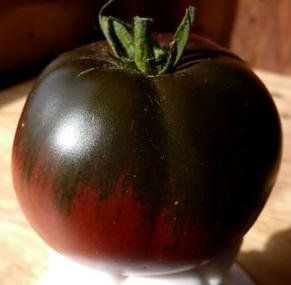 Tomate Black Sea Man black-red beefsteak tomato seeds