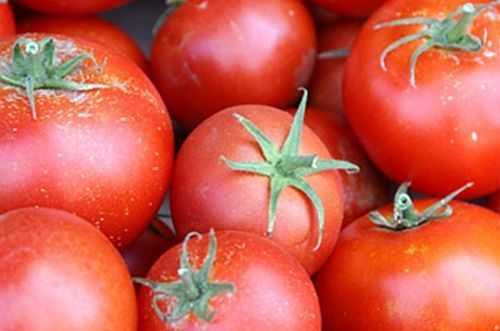 Tomate Bonny Best heirloom tomato seeds