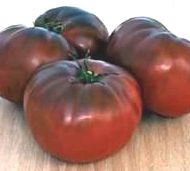 Tomate Brandywine Black Organic Heirloom tomato seeds