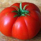 Tomate Delicious Tomato Delicious semillas