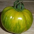 Tomate Green Zebra Tomate gr?nes Zebra - Tomaten Samen Samen