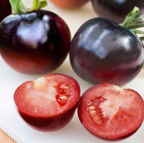 Tomate Indigo Rose blue tomato seeds