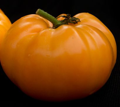 Tomate Kelloggs Breakfast Heirloom tomato orange seeds