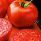 Tomate New Yorker