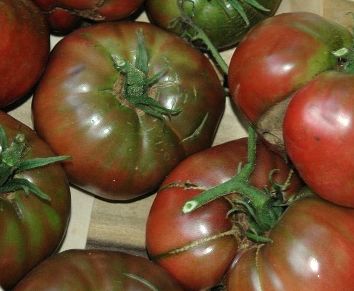 Tomato Black Truffle Heirloom Tomato seeds