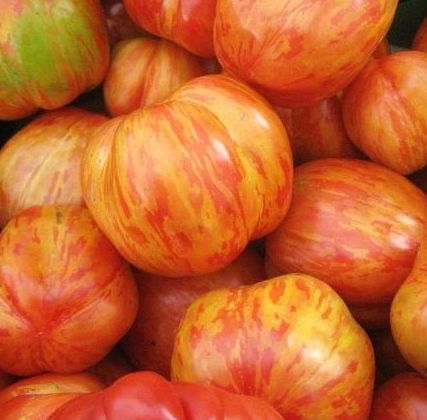 Tomato Tigerella Heirloom Tomato seeds