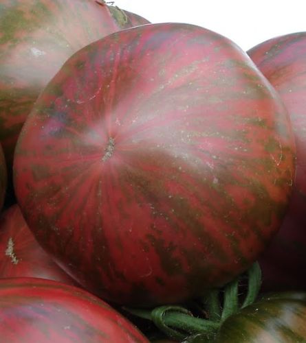 Tomato Ukrainian Purple purple tomato seeds