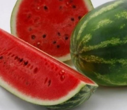 Watermelon Crimson Sweet Watermelon Crimson Sweet seeds