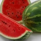 Watermelon Crimson Sweet Wassermelone Crimson Sweet Samen