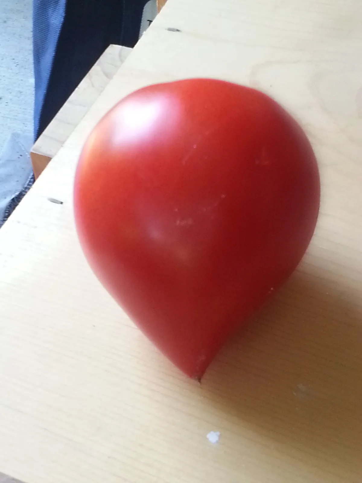Tomate Amish Paste