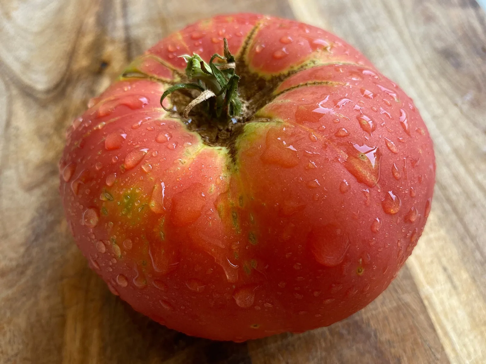 Tomate Brandywine Black Organic