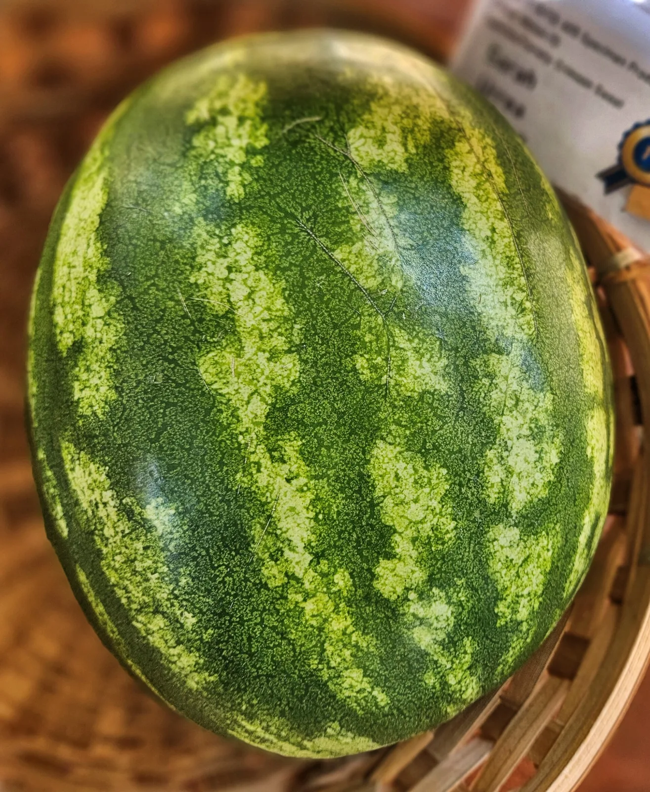 Watermelon Crimson Sweet