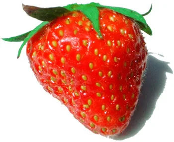 Strawberry Red