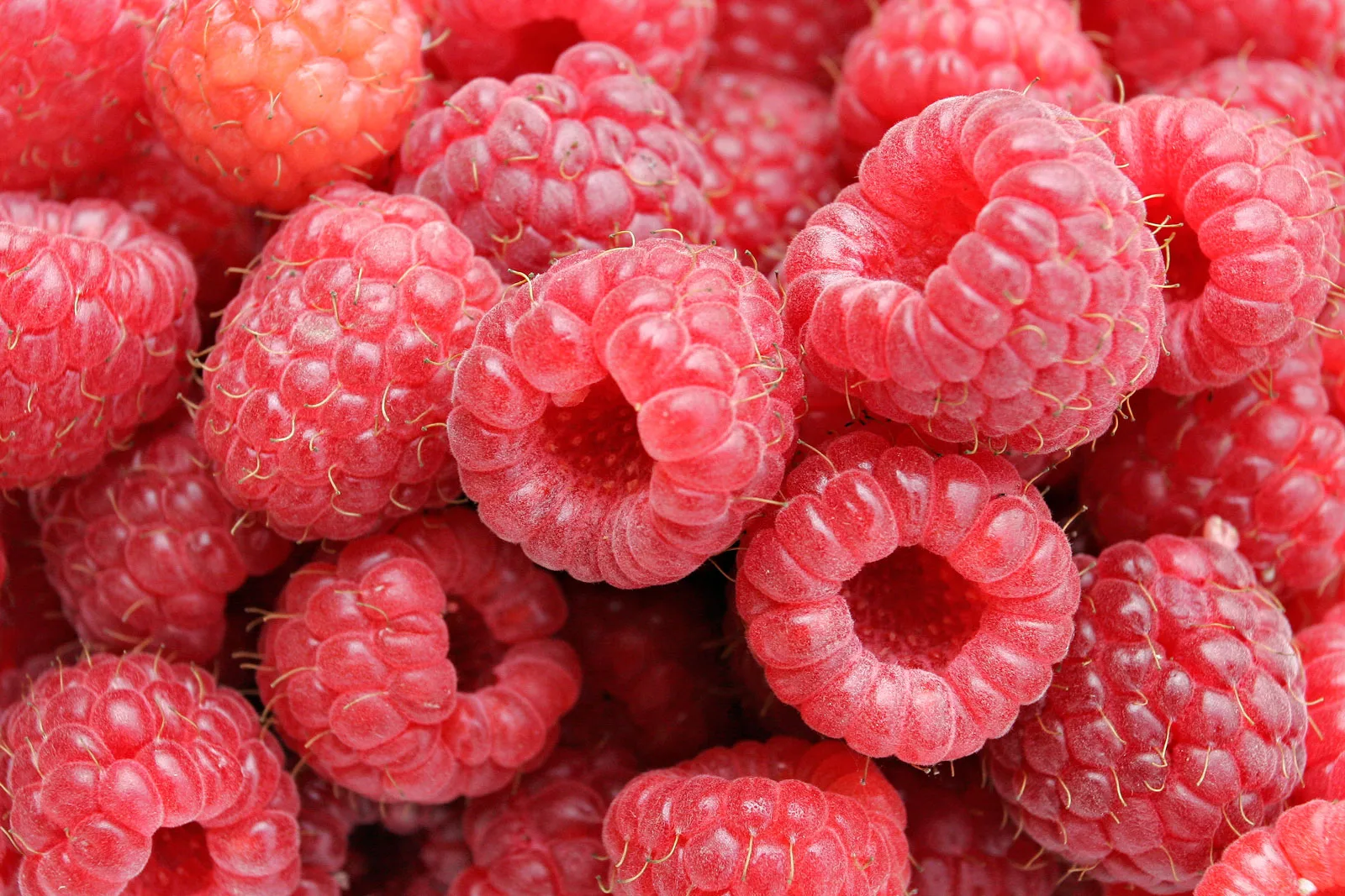Raspberry Red