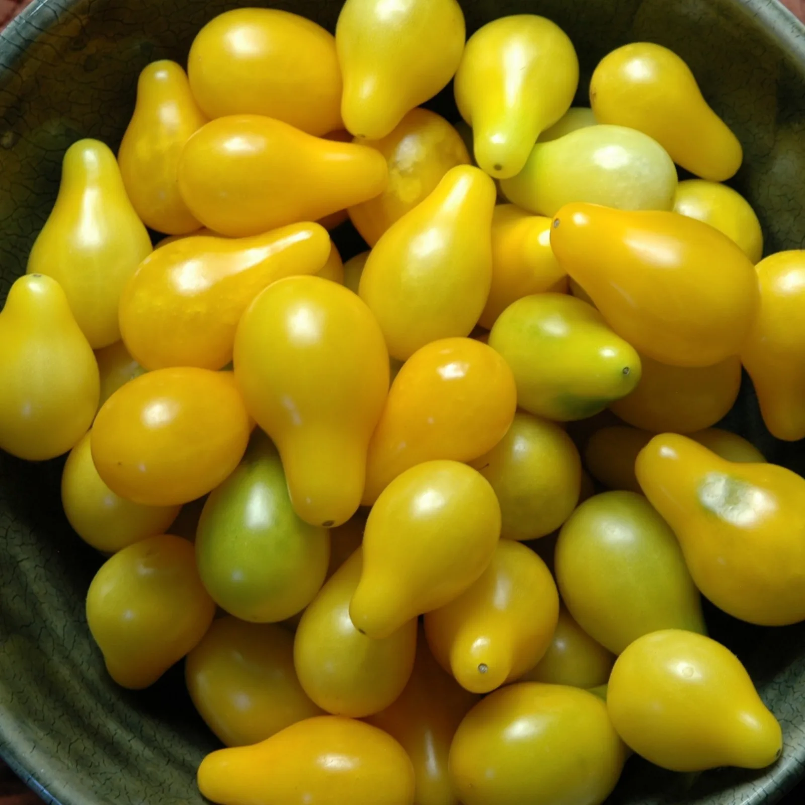 Tomate Yellow Pear