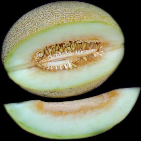 Ananas Melon