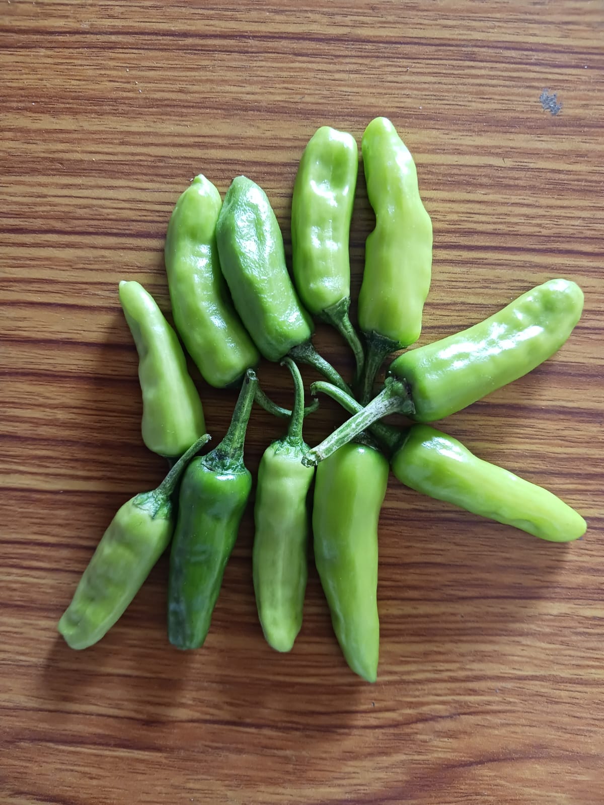 Chili Green Hot