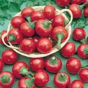 Chili Ciliegia Picante