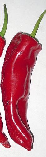 Chili Dulce Italiano