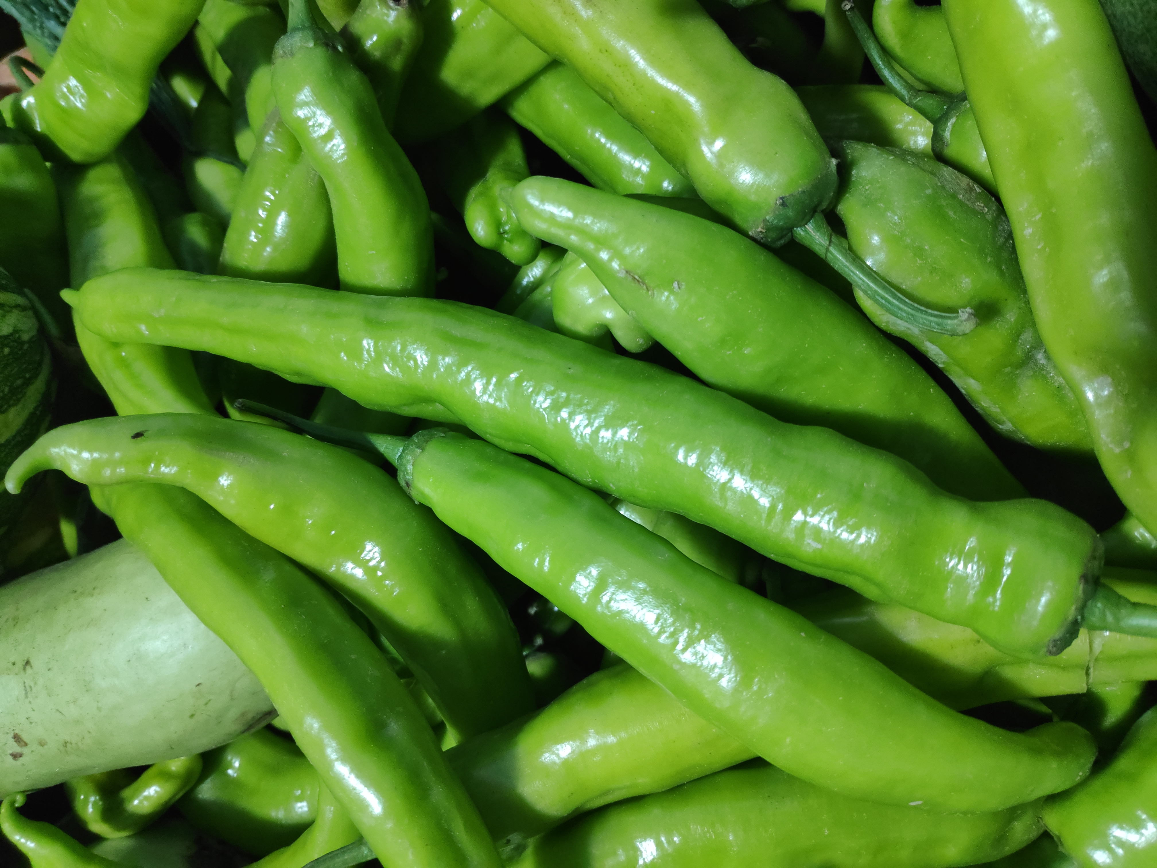 Chili Green Hot
