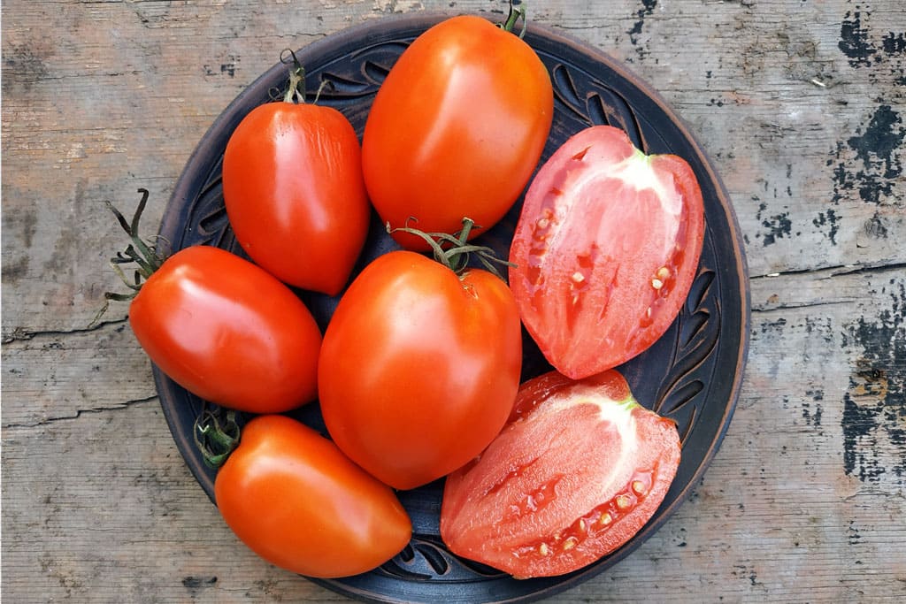 Tomate Amish Paste