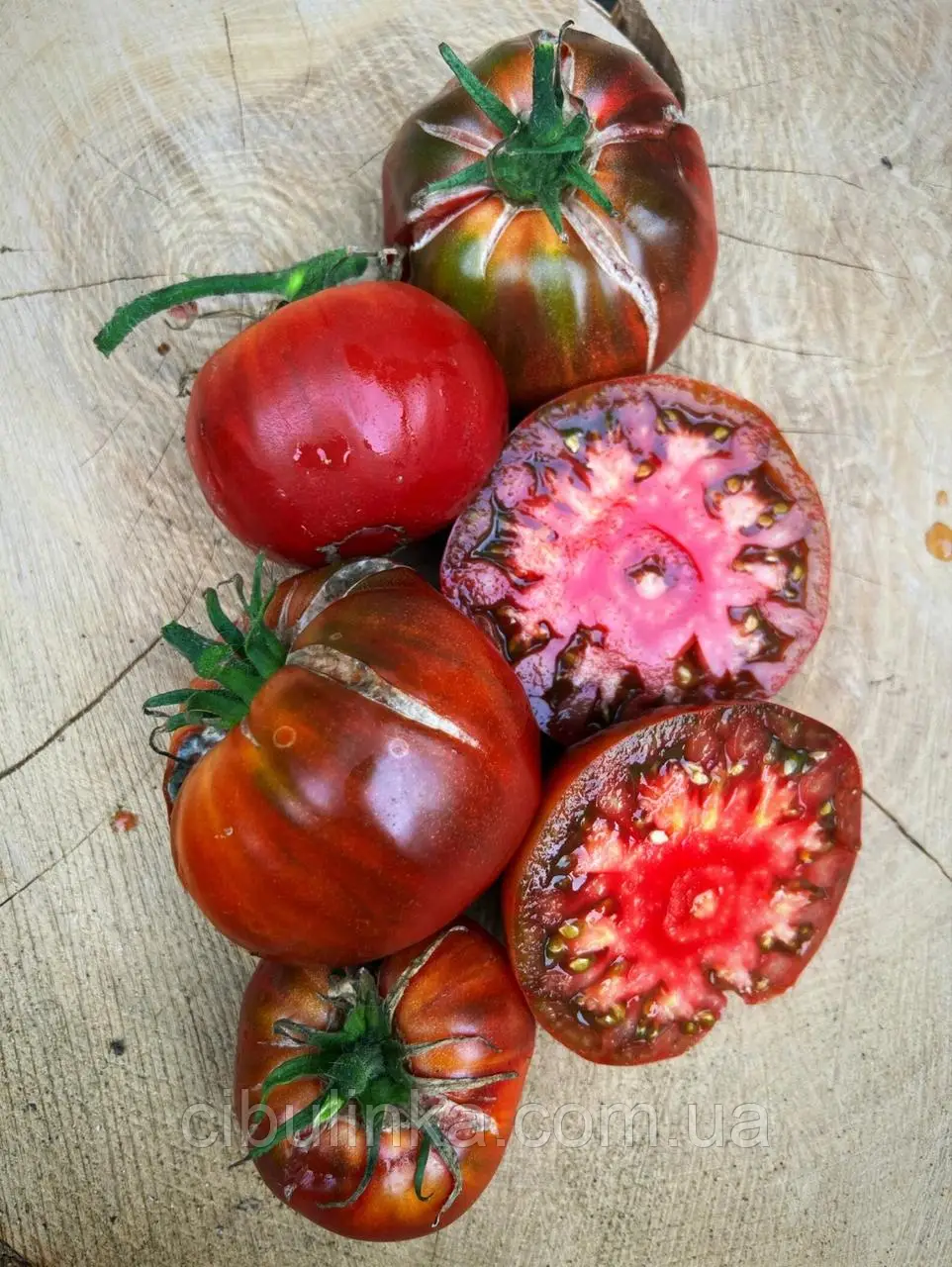 Tomate Ananas Noire