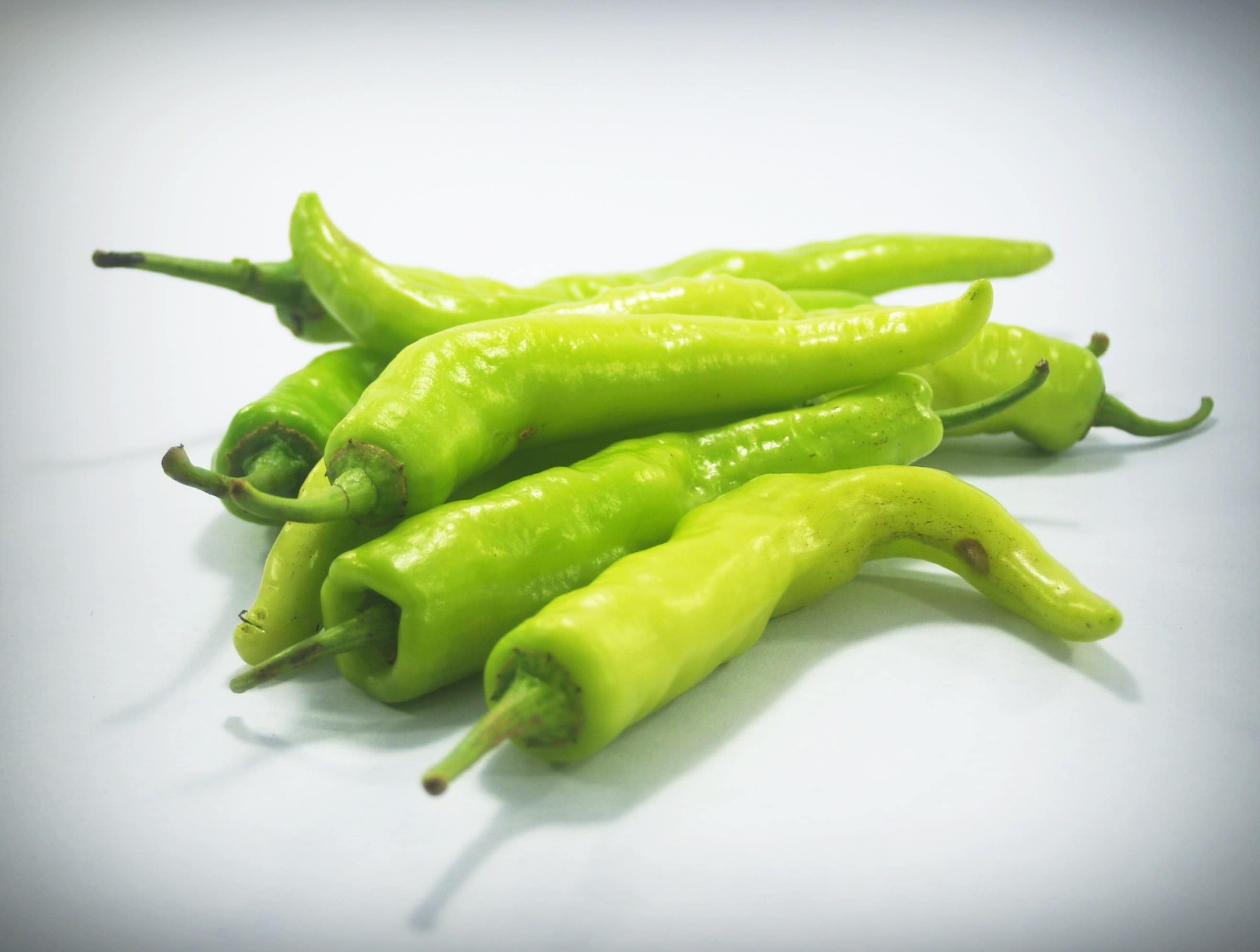 Capsicum chinese
