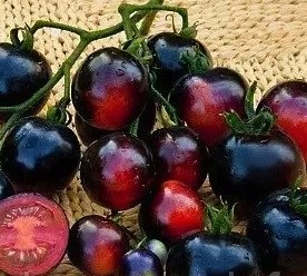 Tomate Indigo Rose