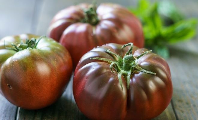 Tomate Mortgage Lifter