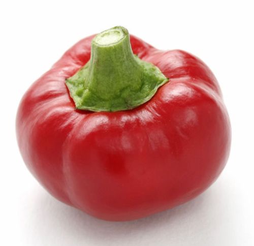 Chili Topepo Rosso