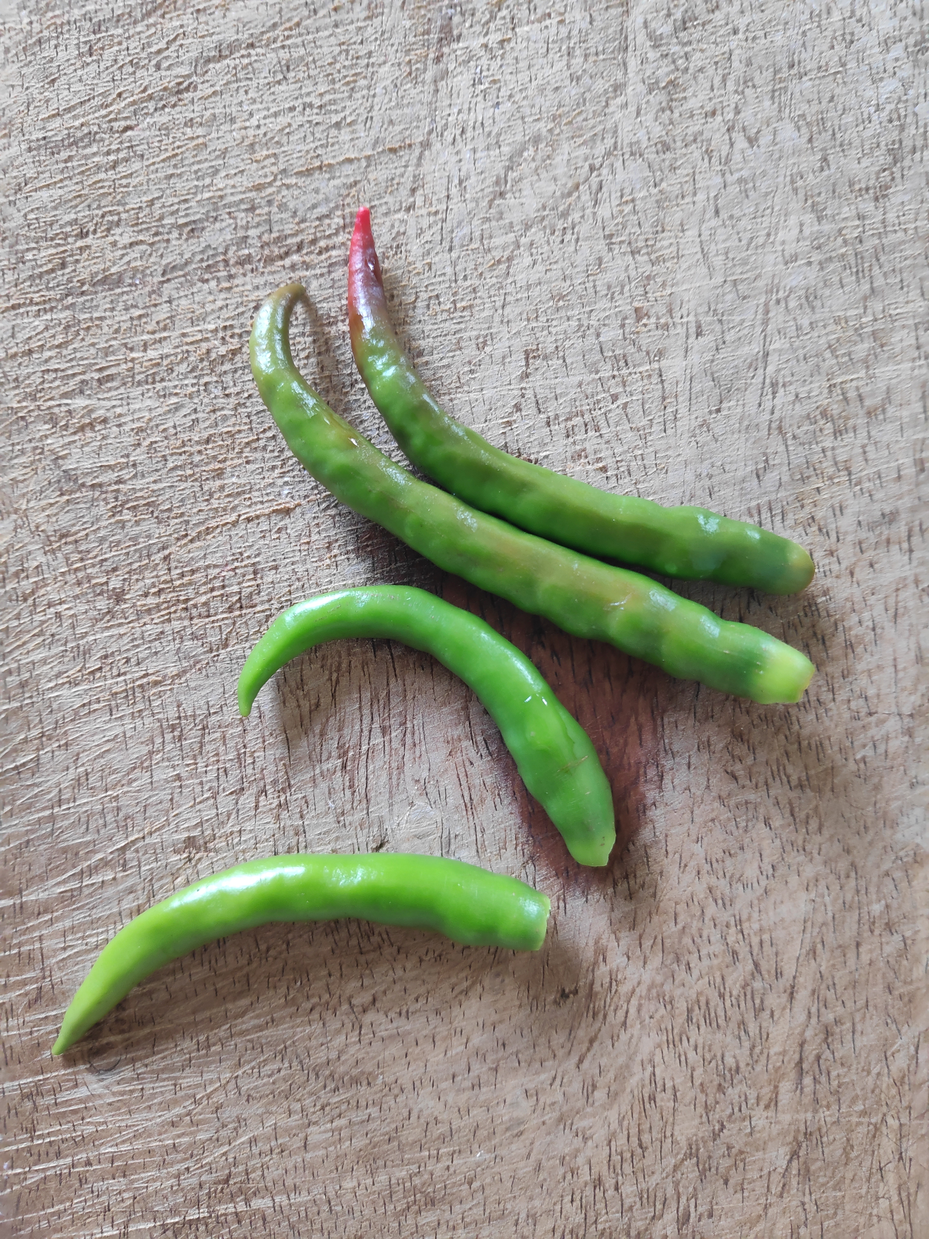 Chili Serrano