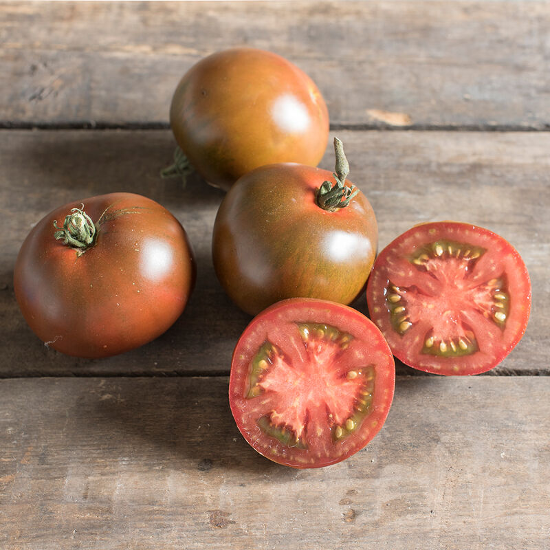 Tomate Black Prince