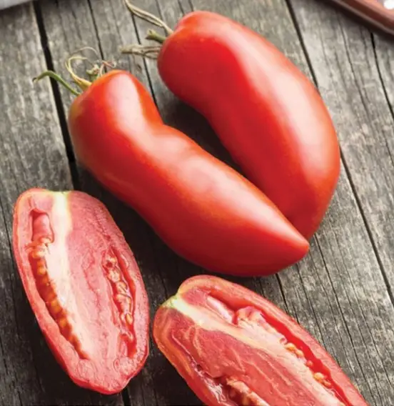 Tomate San Marzano 3